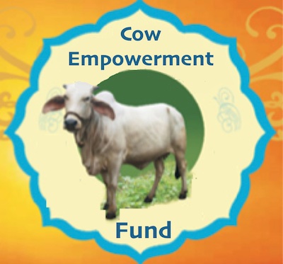 cow empowerment