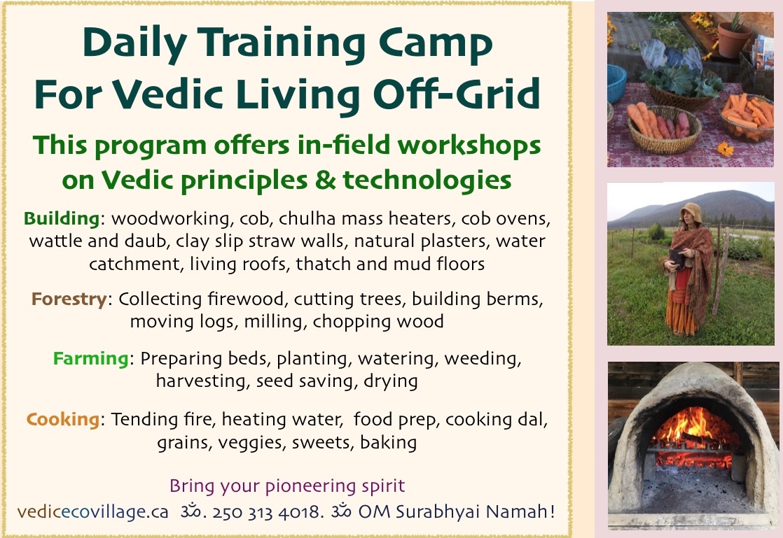 camp