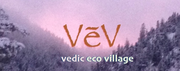 vev