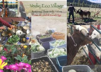 Vedic Eco Village Collage