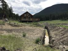 Hitting Water from the creek