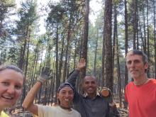 Vedic Eco Village forest