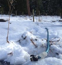 Draining water from our pipeline